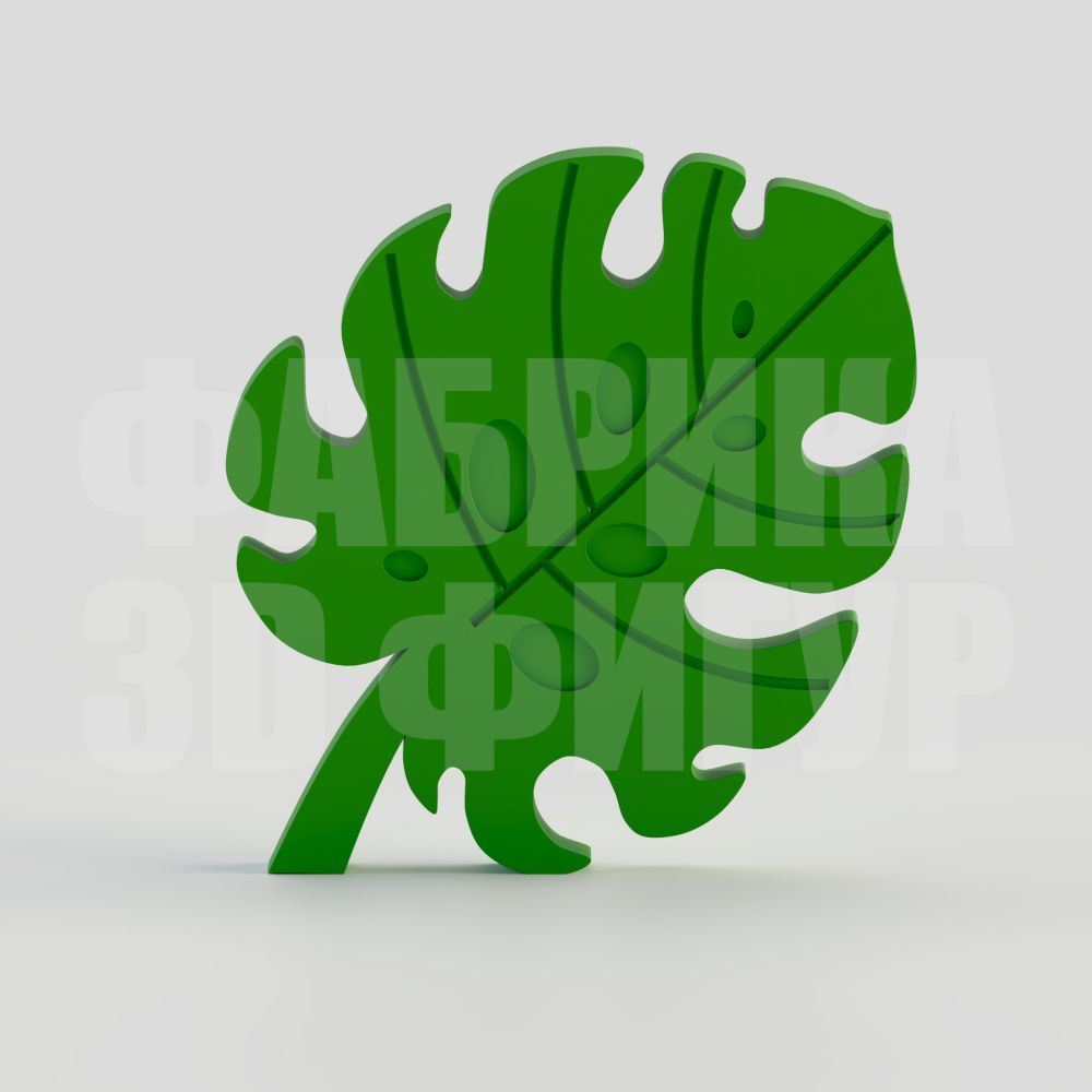 Лист Monstera