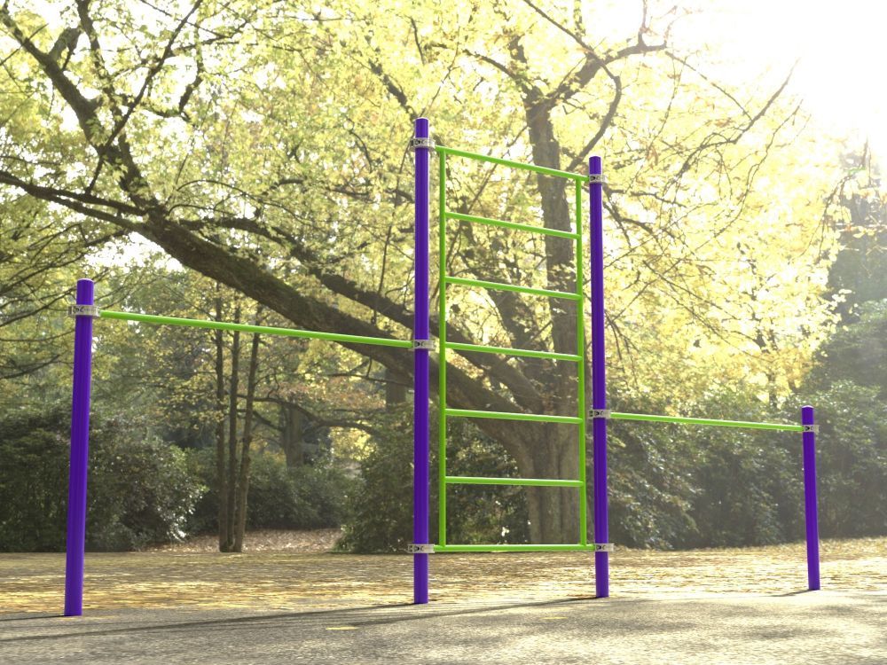 Фотографии Комплекс для занятий Воркаут Pioner A16857