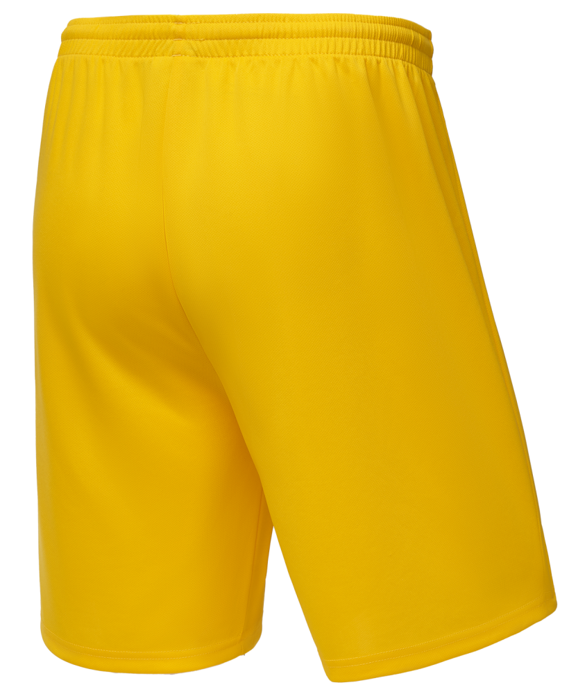 Фотографии Шорты баскетбольные Camp Basic, желтый