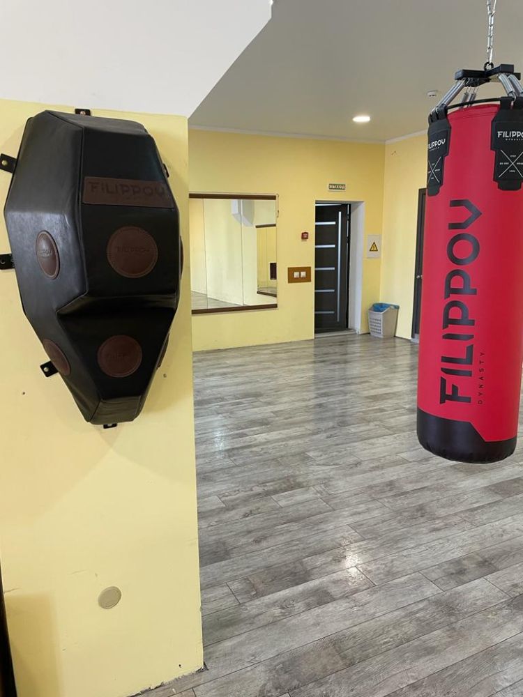 Боксерская подушка FILIPPOV  84/45 84см/45см