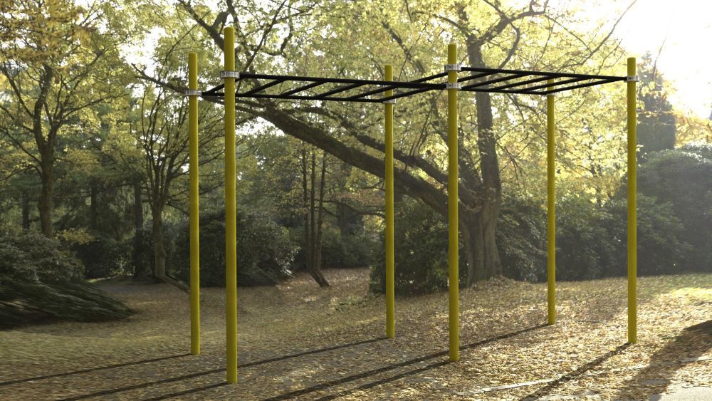 Фотографии Рукоход двухуровневый для Воркаут Pioner A17280