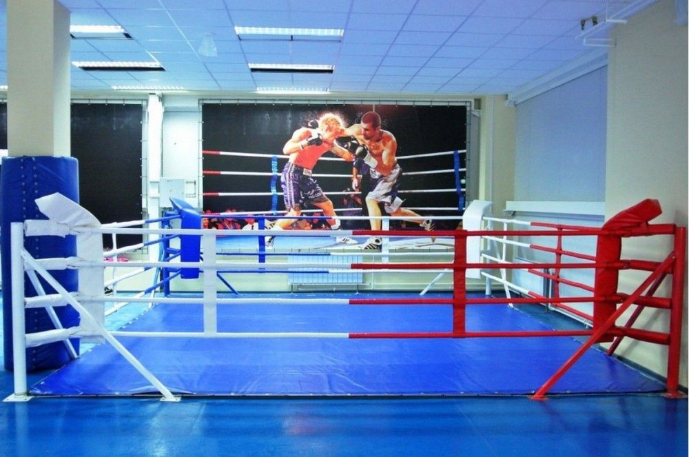 Фотографии Ринг напольный на растяжках помост 7х7 м, боевая зона 6х6 м, монтажная площадка 10х10 м Pioner A15382