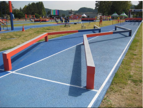 Фото Элемент ПП Балансировочное бревно изогнутое