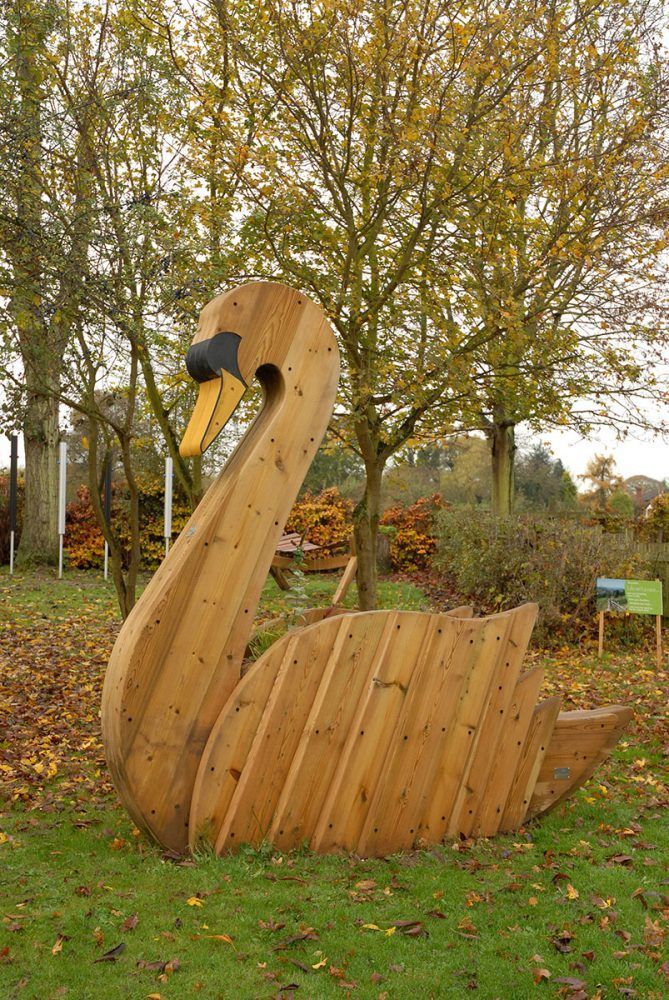 Фотографии Вазон Лебедь