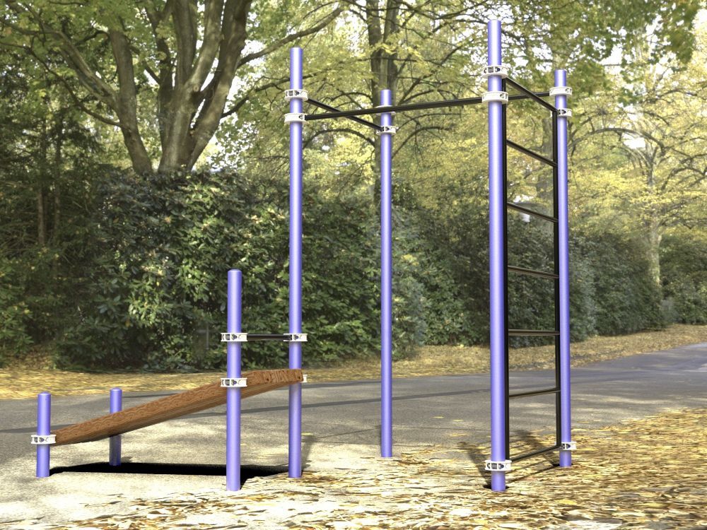 Фотографии Комплекс для занятий Воркаут  Pioner A16744