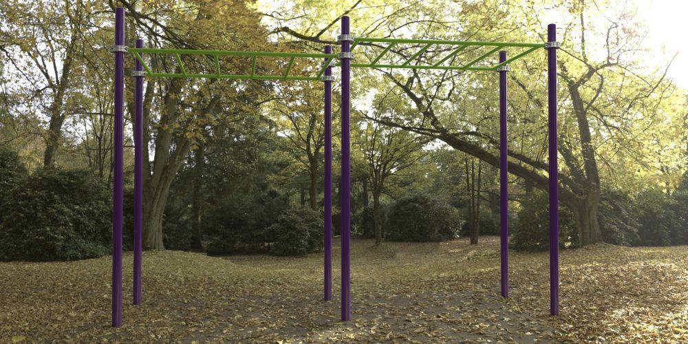 Фотографии Рукоход двухуровневый для Воркаут Pioner A17280