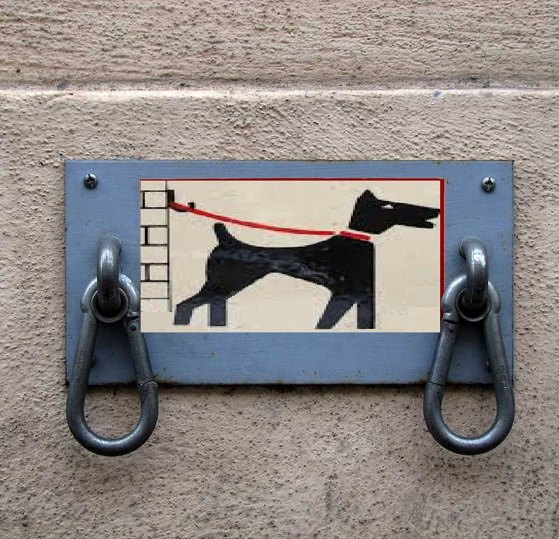 Фотографии Настенная парковка для двух собак