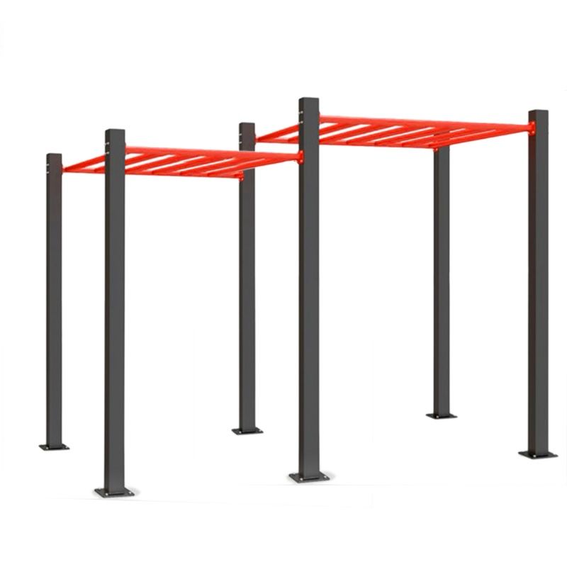 Фотографии Рукоход двухуровневый для воркаута  Pioner A16055