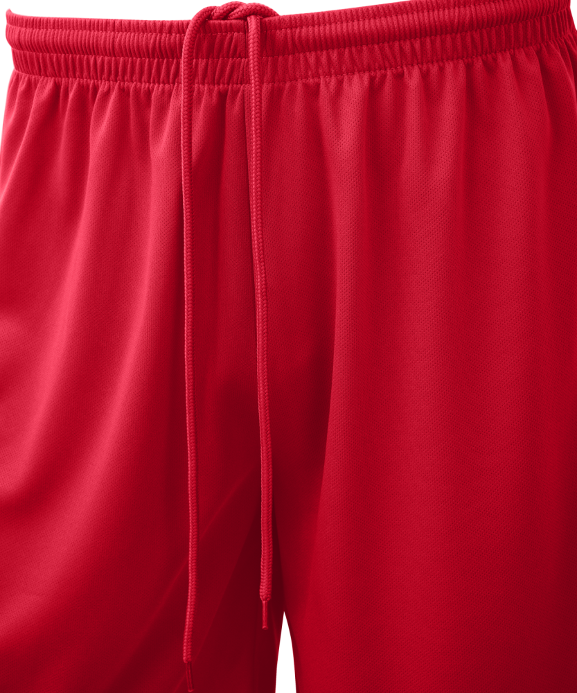 Фотографии Шорты баскетбольные Camp Basic, красный