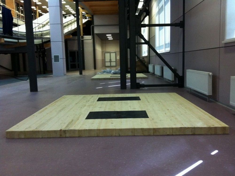 Фото Помост тяжёлоатлетический (тренировочный) 2,5х2,5х0,1 м  Pioner A12038