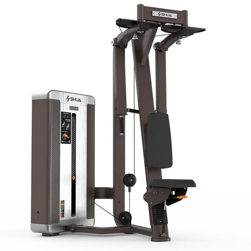 Фото Пэк-дэк (баттерфляй/задняя дельта) SHUA SH-G8810