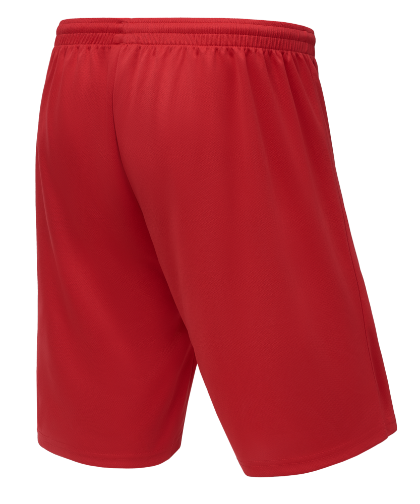Фотографии Шорты баскетбольные Camp Basic, красный