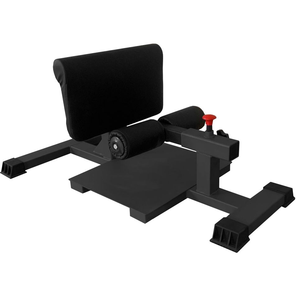 Фото Сисси присед BRONZE GYM PARTNER AL-203