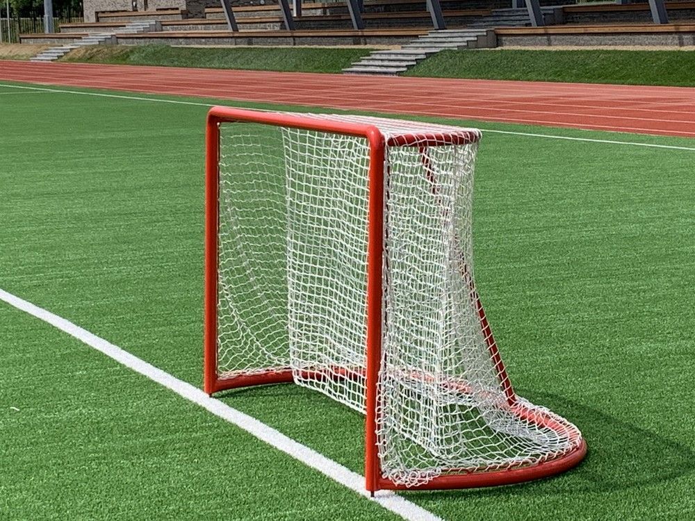 Фотографии Ворота хоккейные професcиональные (крепление под фиксаторы)  Pioner A13764