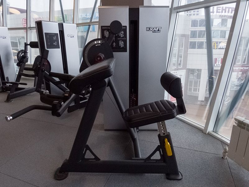 Бицепс/Трицепс сидя Kraft Fitness EXACT KFDXBT