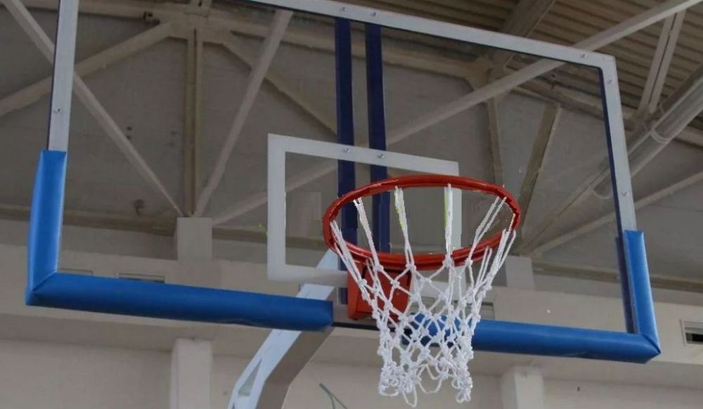 Фотографии Защита для баскетбольного щита  Pioner A13381