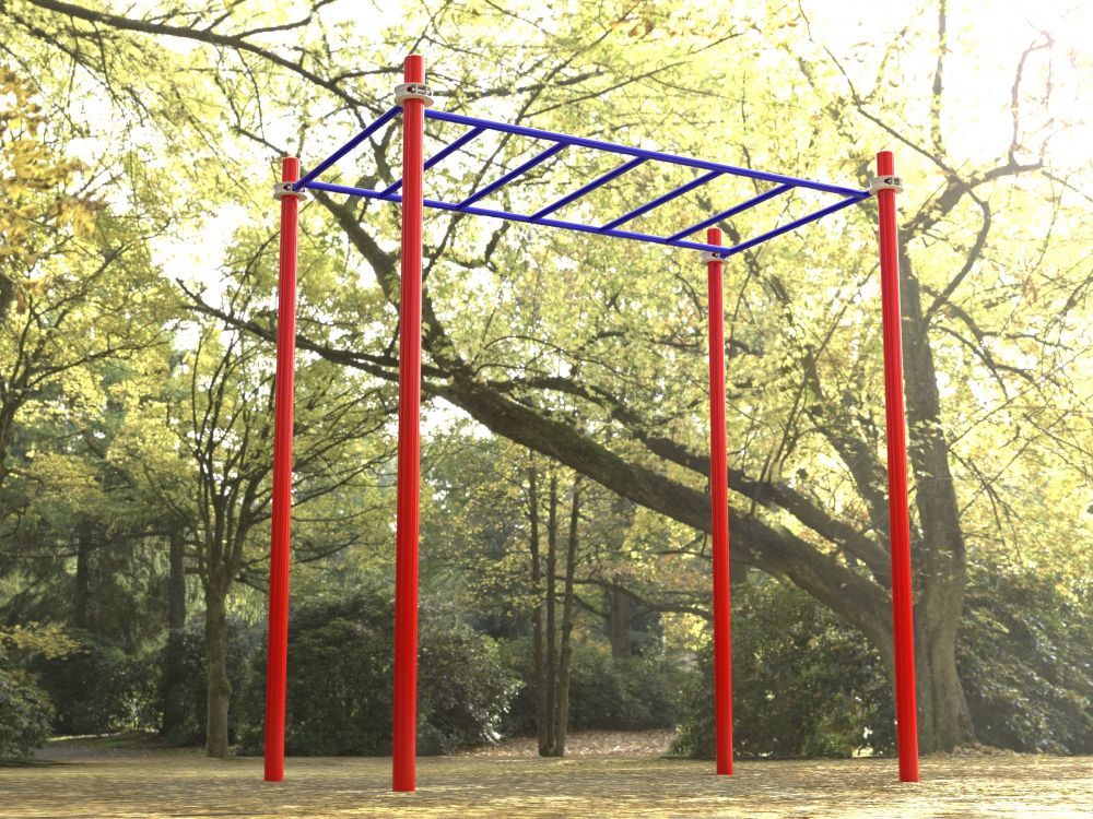 Фотографии Рукоход одиночный для Воркаут Pioner A17267