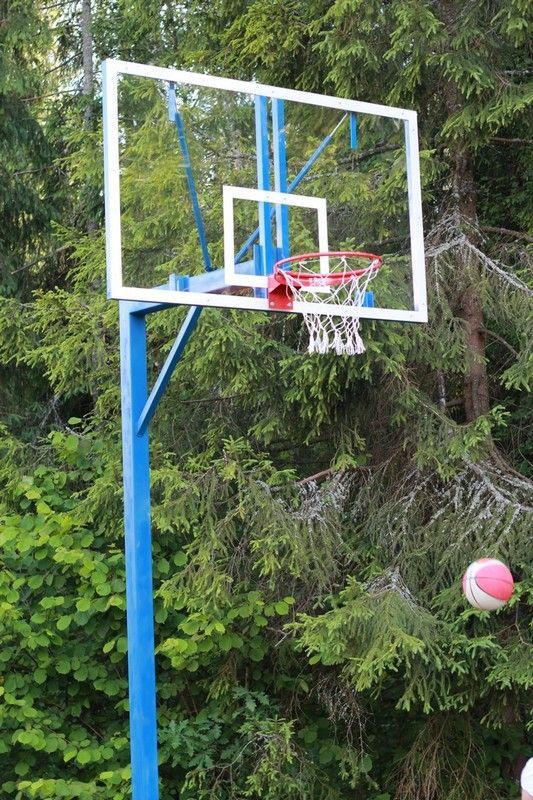 Фотографии Стойка баскетбольная стационарная. Вынос 160см.  Pioner A13446