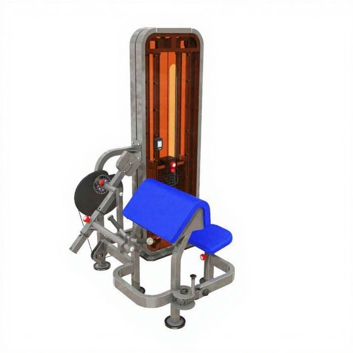 Фото Бицепс-машина для инвалидов-колясочников