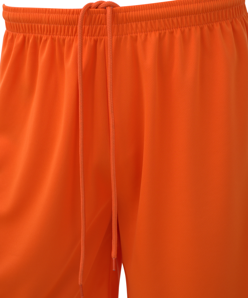 Фотографии Шорты баскетбольные Camp Basic, оранжевый
