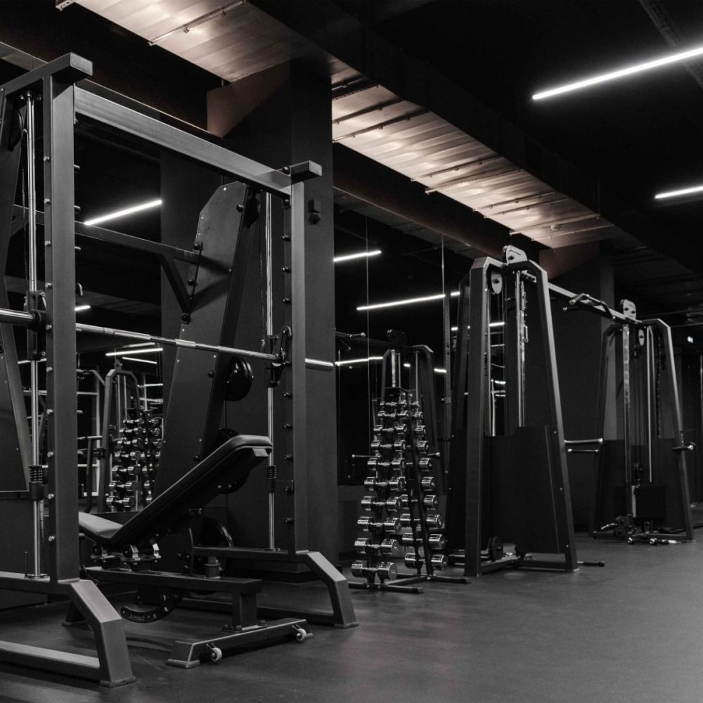 Гантельный ряд хромированный (шаг 1 кг, 10 пар) PROFI-FIT 1-10 кг