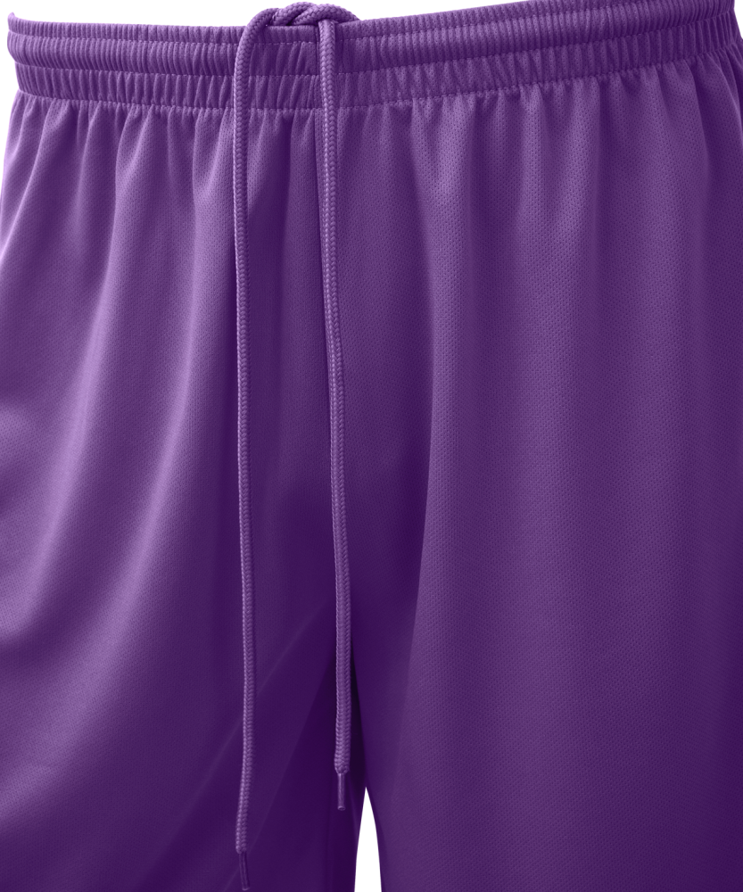 Фотографии Шорты баскетбольные Camp Basic, фиолетовый, детский