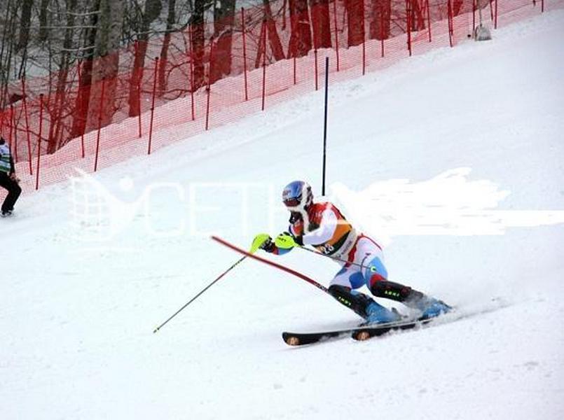 Фото Сетка разграничительная плетеная 100мм х100мм, нить 3,5 мм, 1,2 м х 25,0 м  Pioner A14872