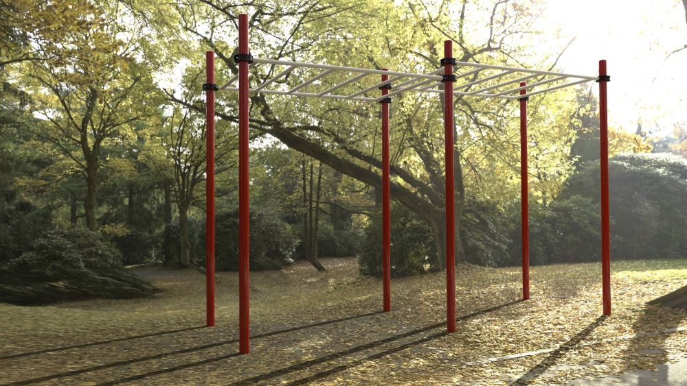 Фотографии Рукоход двухуровневый для Воркаут Pioner A17280