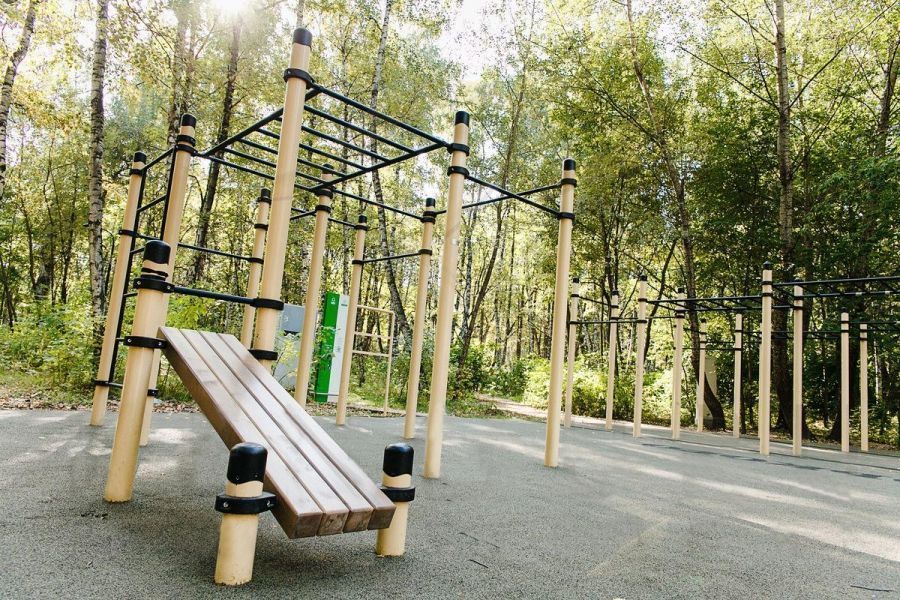 Фотографии Рукоход, шведская стенка, 7 турников и скамья для пресса Pioner A2495825