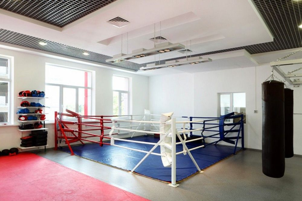 Фотографии Ринг боксёрский на упорах 7х7 м, боевая зона 6х6 м, монтажная площадка 7х7 м  Pioner A12557