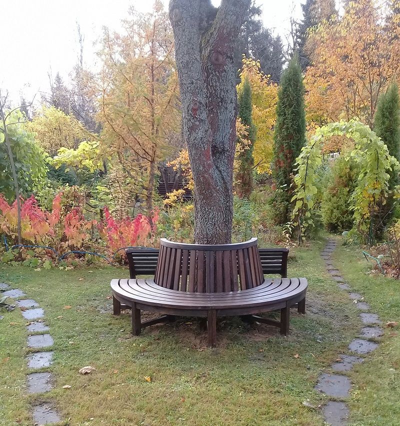 Фото Диван парковый Дерево