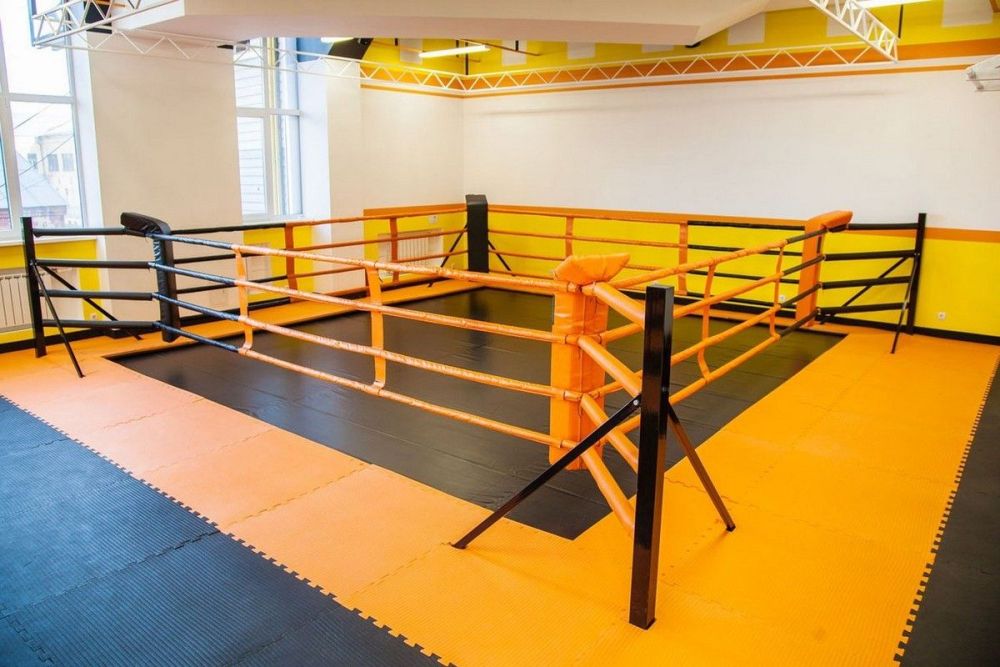 Фотографии Ринг напольный на упорах помост 6х6 м, боевая зона 5х5 м, монтажная площадка 6х6 м Pioner A15378