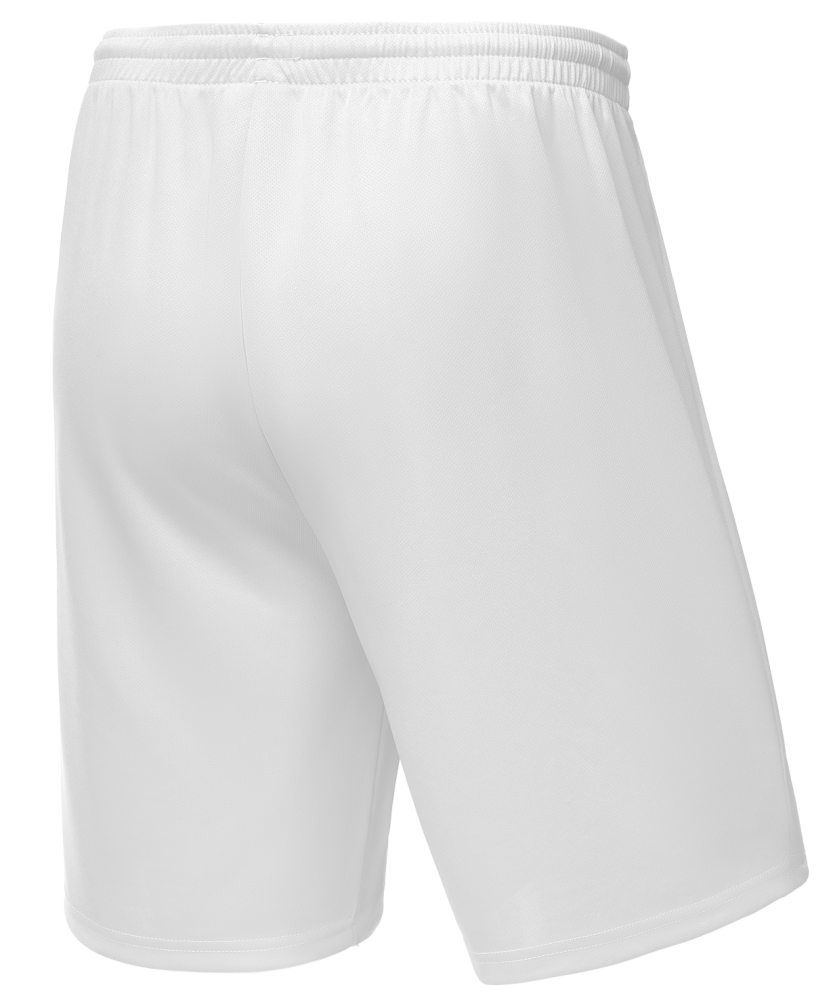 Фотографии Шорты баскетбольные Camp Basic, белый
