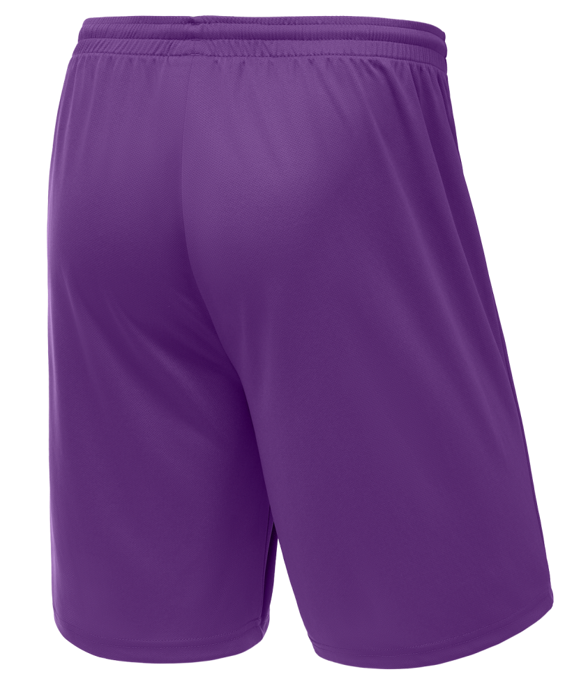 Фотографии Шорты баскетбольные Camp Basic, фиолетовый, детский