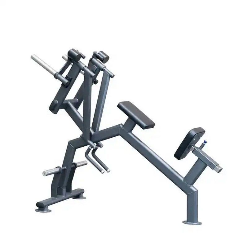 Фото Задняя дельта с упором в грудь Gymmaster SS-26