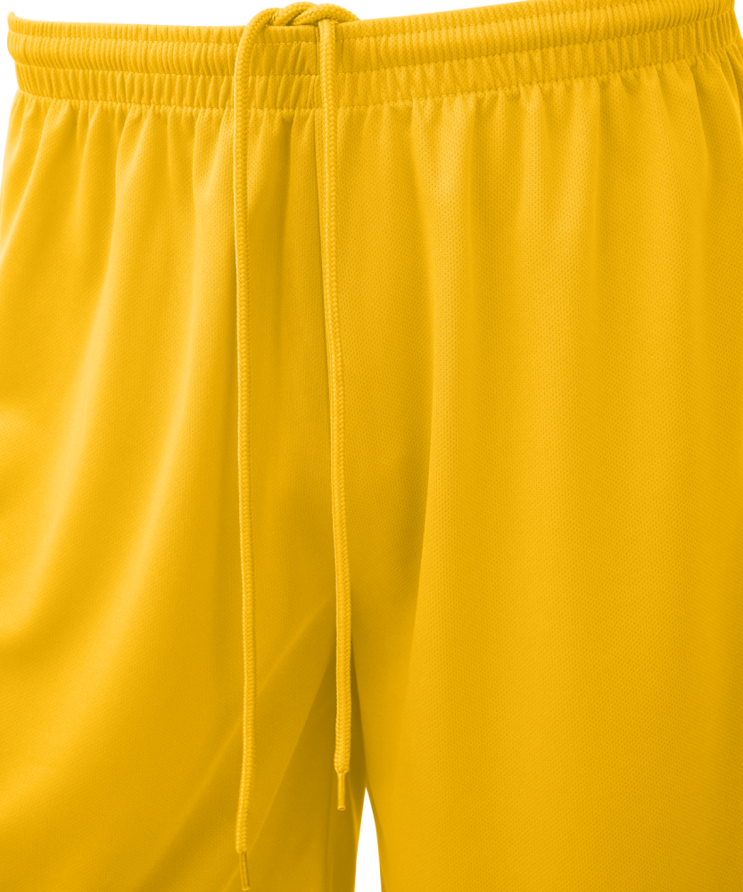 Фотографии Шорты баскетбольные Camp Basic, желтый, детский