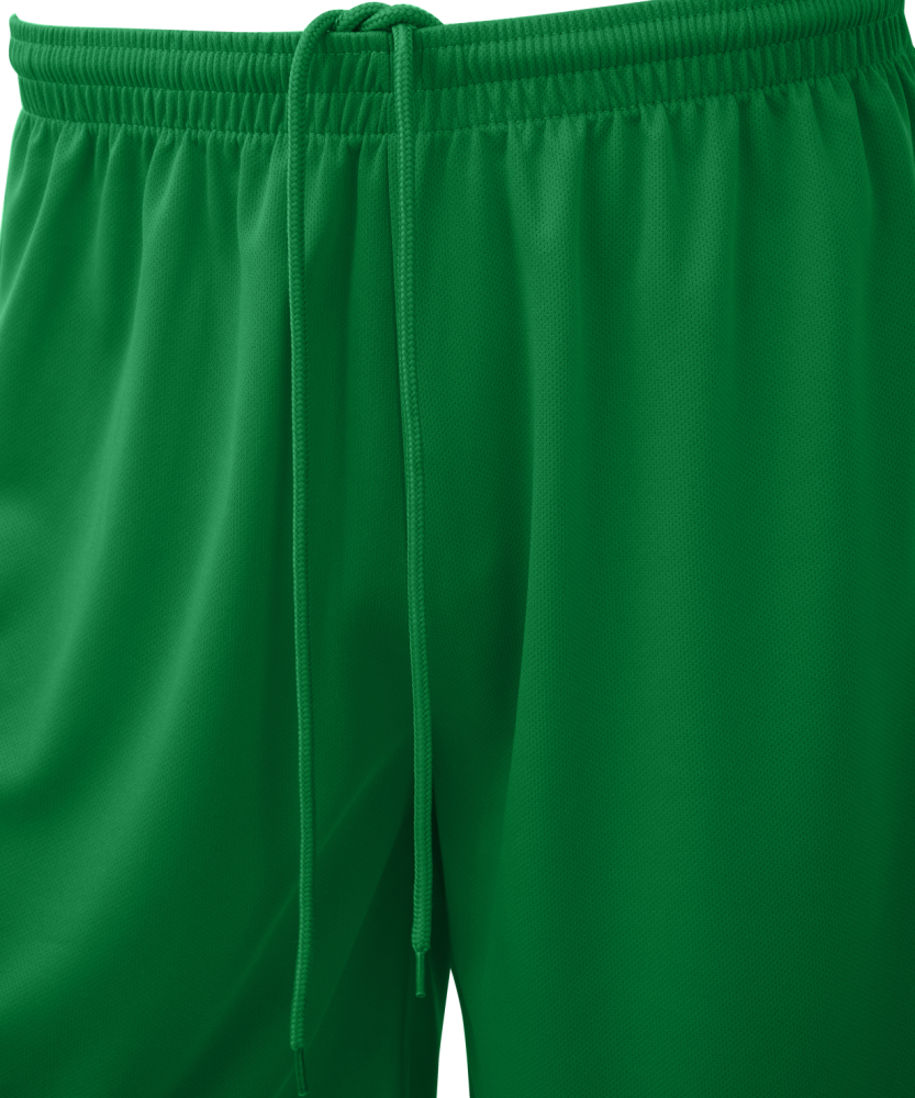 Фотографии Шорты баскетбольные Camp Basic, зеленый, детский