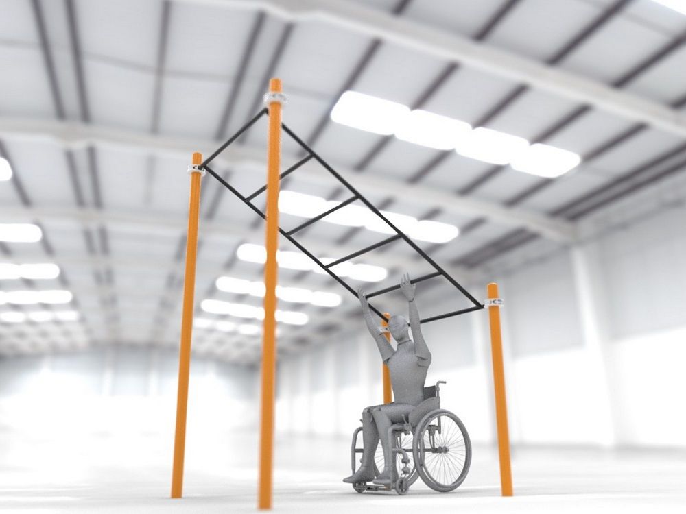 Фотографии Рукоход в подъем параворкаут  Pioner A11839