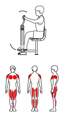 Фотографии Н-001 Лыжник сидя