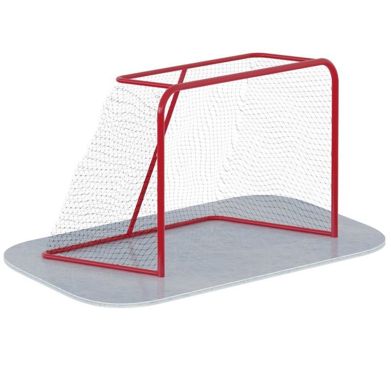 Фото Ворота хоккейные  Pioner A12354