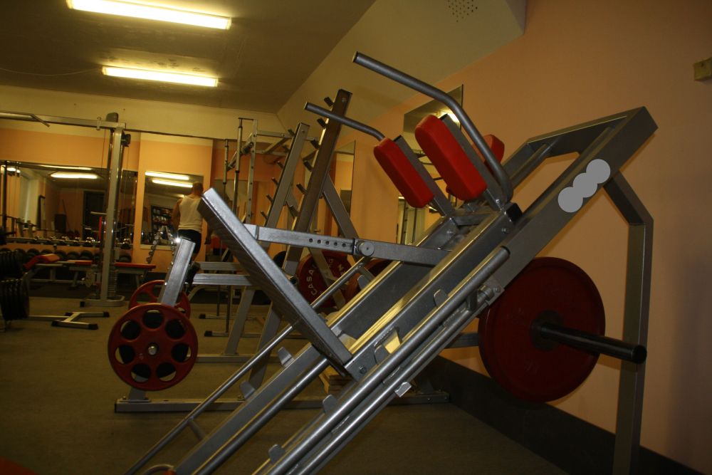 Фото Жим ногами + Гак-машина B-96