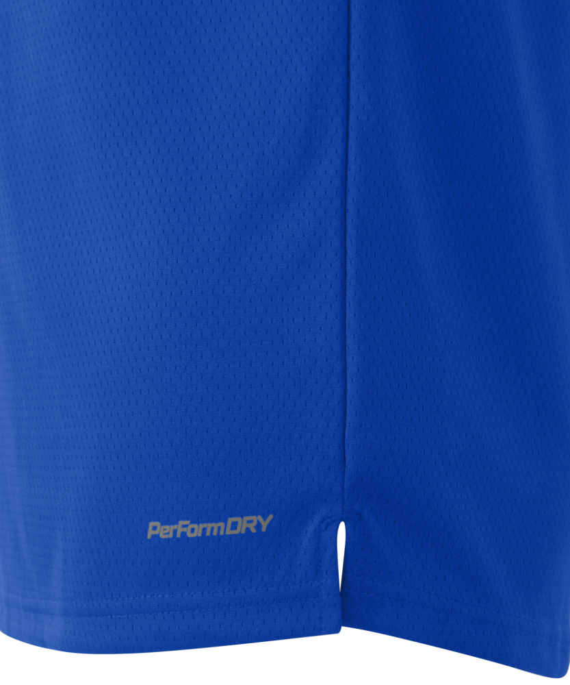 Фотографии Майка баскетбольная Jogel PerformDry Division Star, синий