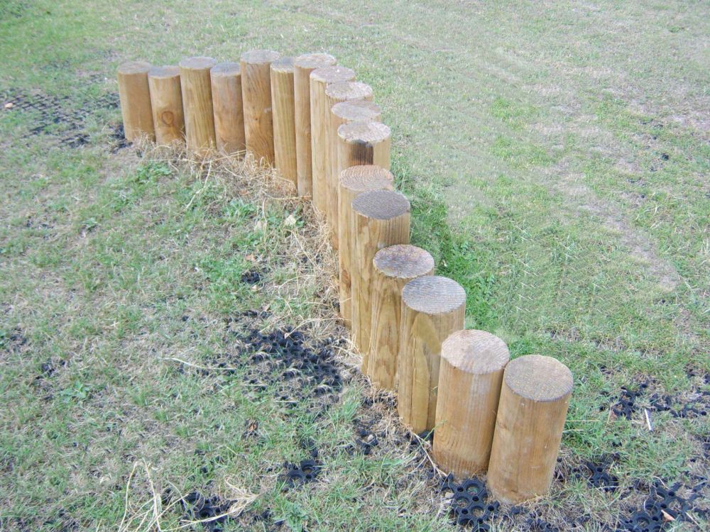 Фотографии Переход Пеньки