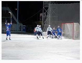 Фото Сетка для хоккейных ворот (хоккей с мячом), 2,14х3,66х0,90х1,20 м, толщина нити 2,6 мм