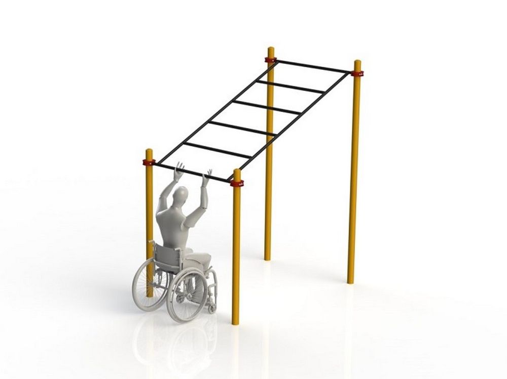 Фотографии Рукоход в подъем параворкаут  Pioner A11837