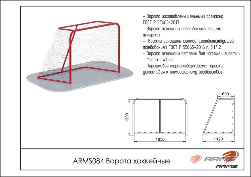 Фотографии Ворота хоккейные  Pioner A12354