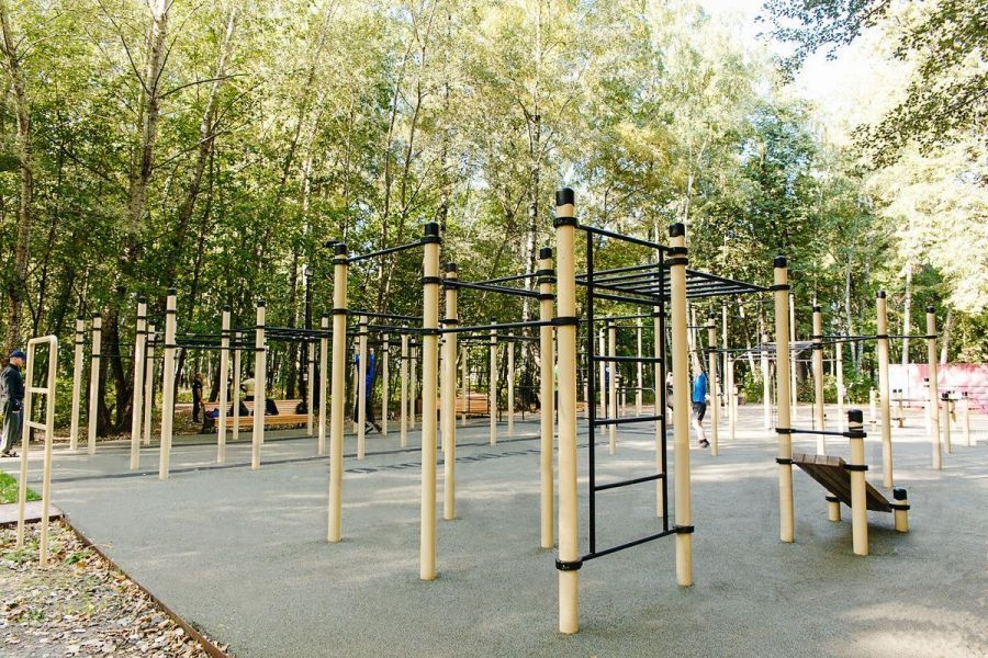 Фотографии Рукоход, шведская стенка, 7 турников и скамья для пресса Pioner A2495825