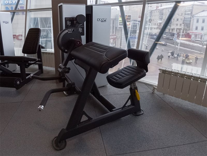 Бицепс/Трицепс сидя Kraft Fitness EXACT KFDXBT