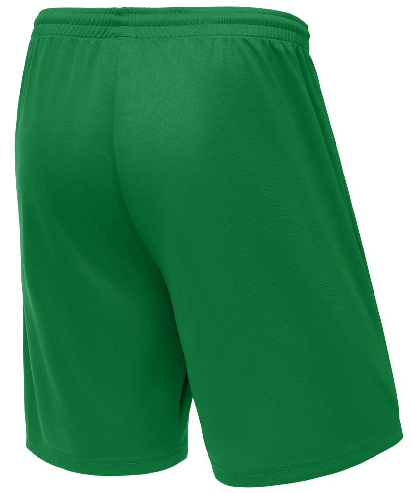 Фотографии Шорты баскетбольные Camp Basic, зеленый, детский