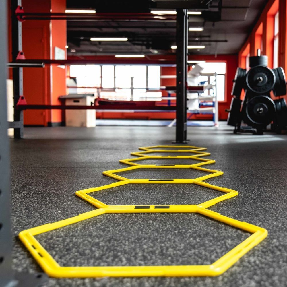 Фотографии Лестница для функциональных тренировок PROFI-FIT